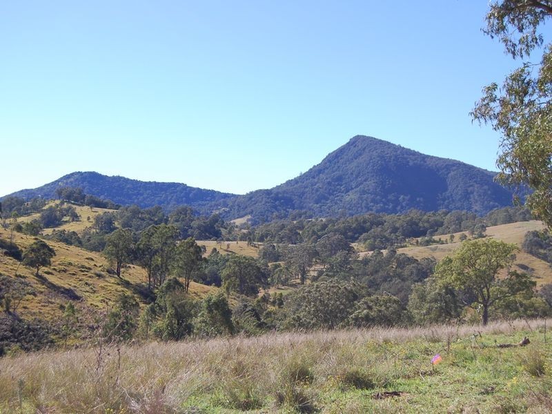 Bundook NSW 2422