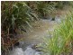 Marlee NSW 2429