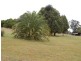 Marlee NSW 2429