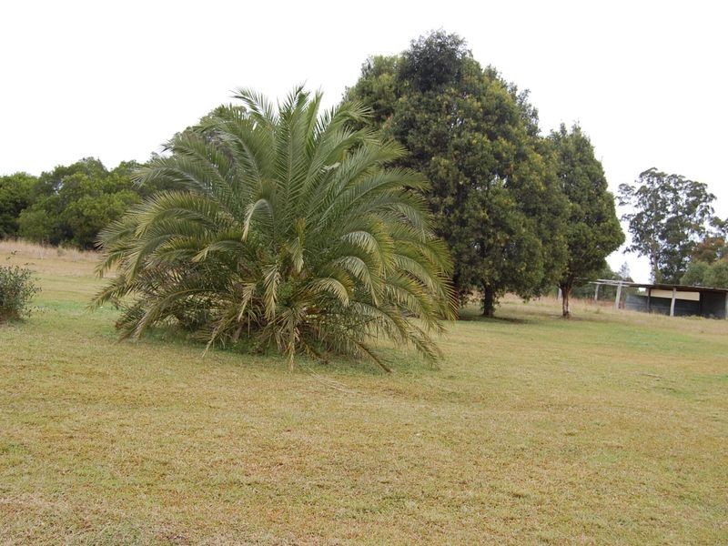 Marlee NSW 2429