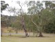 Marlee NSW 2429