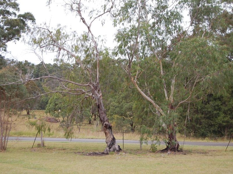 Marlee NSW 2429