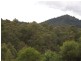 Marlee NSW 2429
