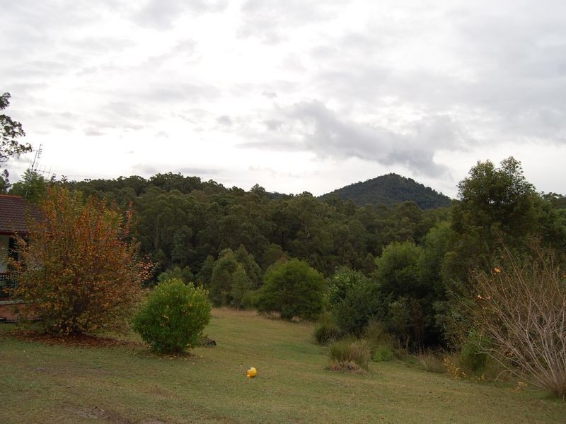 Marlee NSW 2429