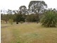 Marlee NSW 2429