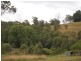 Marlee NSW 2429
