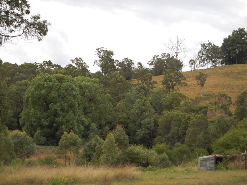 Marlee NSW 2429