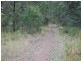 Marlee NSW 2429