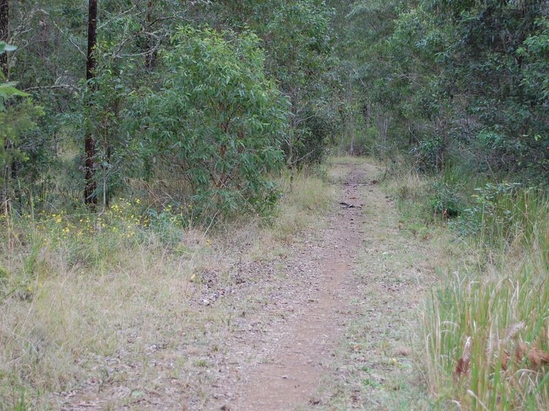 Marlee NSW 2429
