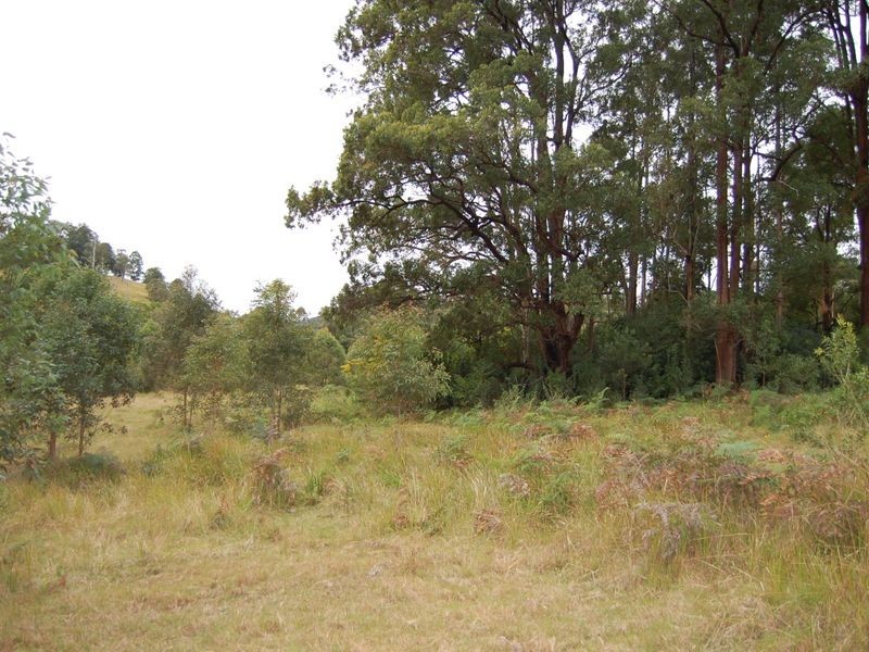 Marlee NSW 2429