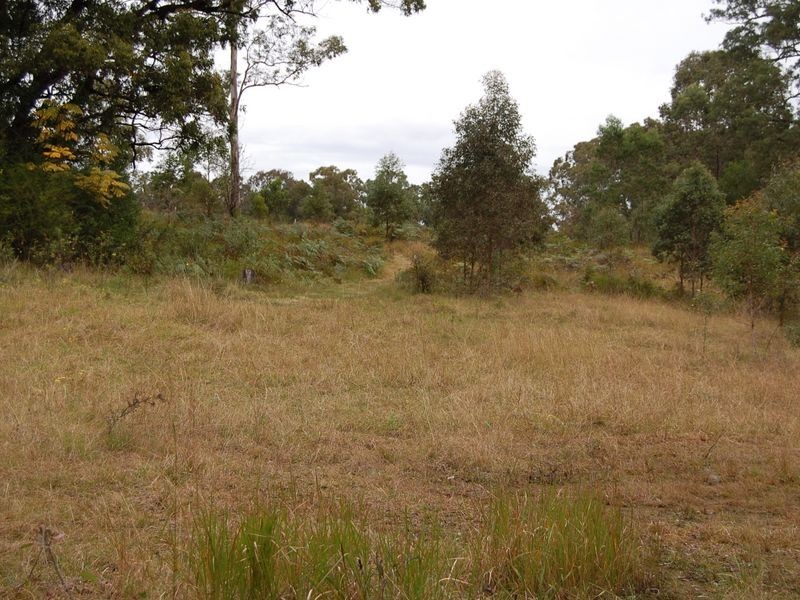 Marlee NSW 2429