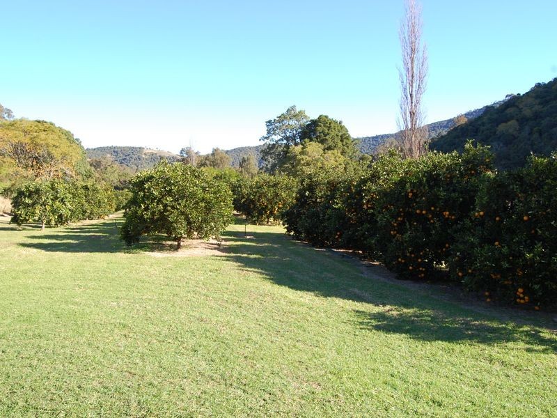 Knorrit Flat NSW 2424