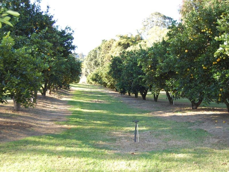Knorrit Flat NSW 2424