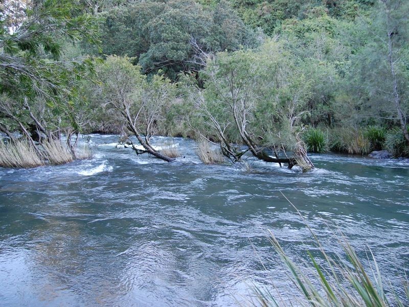 Knorrit Flat NSW 2424