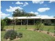 Cedar Party NSW 2429