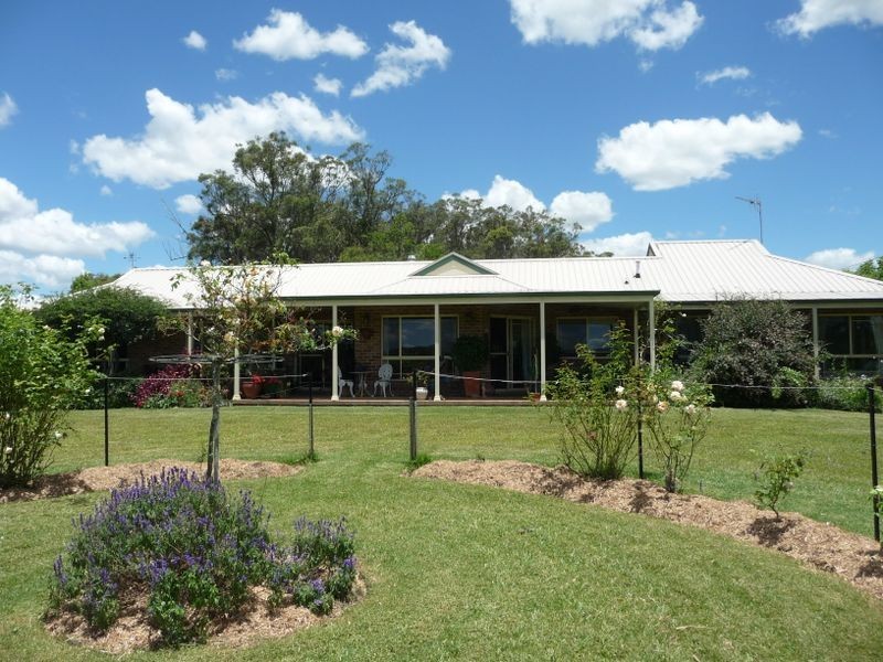 Cedar Party NSW 2429
