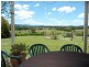 Cedar Party NSW 2429
