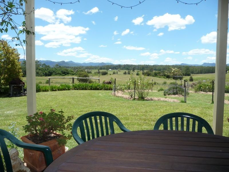 Cedar Party NSW 2429