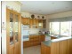 Cedar Party NSW 2429
