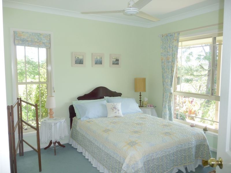 Cedar Party NSW 2429