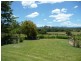 Cedar Party NSW 2429