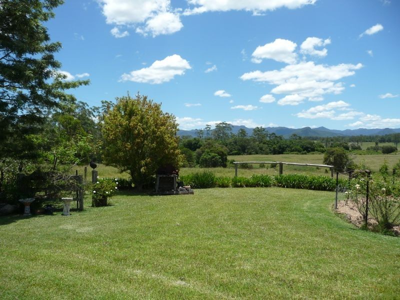 Cedar Party NSW 2429