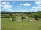 Cedar Party NSW 2429