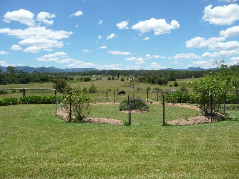 Cedar Party NSW 2429