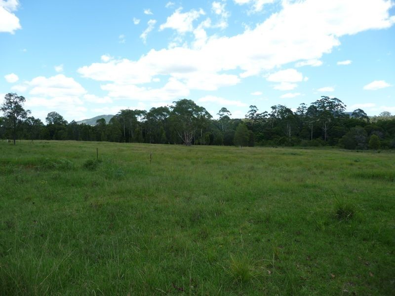 Cedar Party NSW 2429