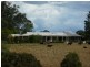 Cedar Party NSW 2429