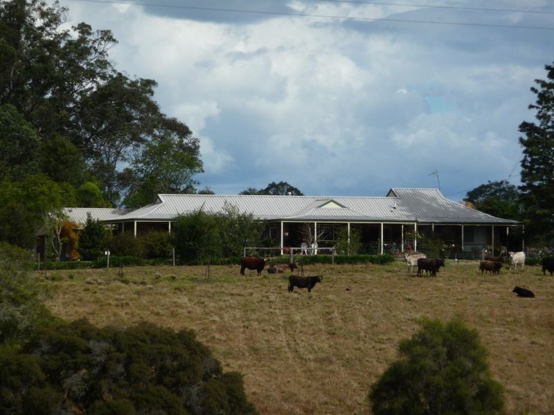 Cedar Party NSW 2429