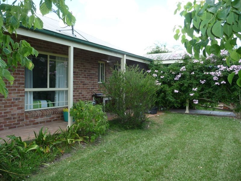 Cedar Party NSW 2429