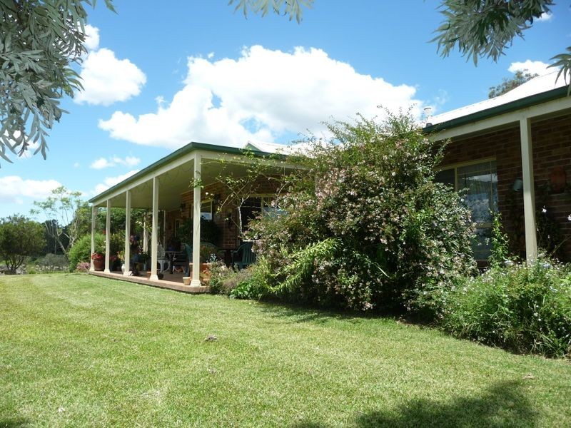 Cedar Party NSW 2429