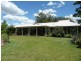 Cedar Party NSW 2429