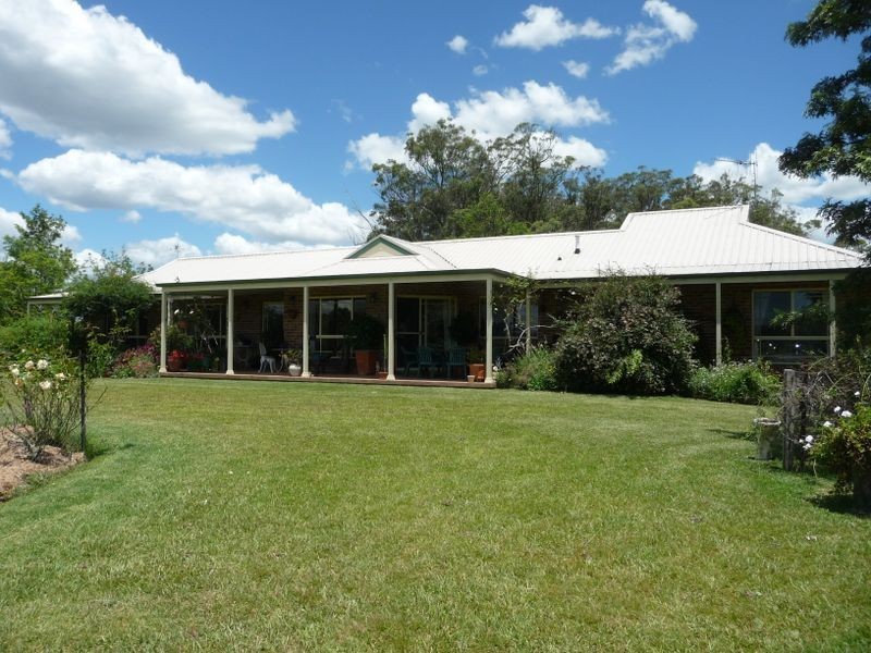 Cedar Party NSW 2429