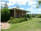Cedar Party NSW 2429