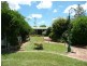 Cedar Party NSW 2429