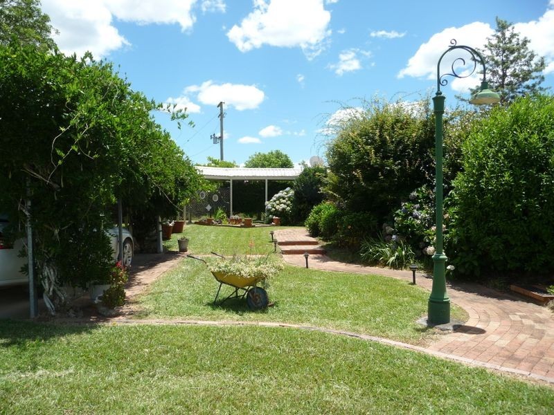 Cedar Party NSW 2429