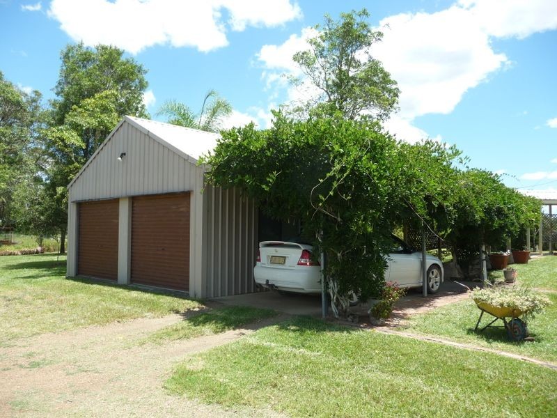 Cedar Party NSW 2429