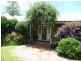 Cedar Party NSW 2429