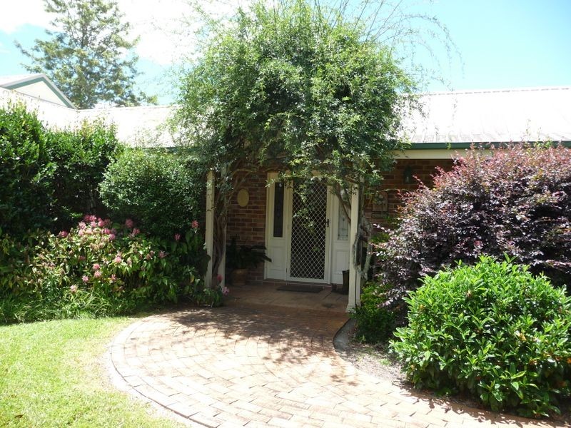Cedar Party NSW 2429