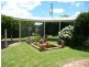Cedar Party NSW 2429