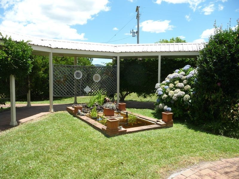 Cedar Party NSW 2429