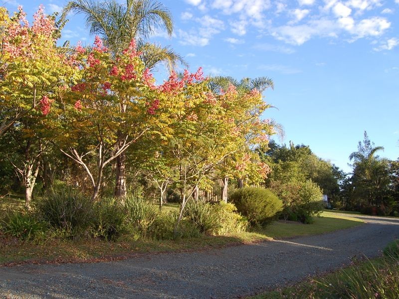 17 Boundary Road, Wingham NSW 2429