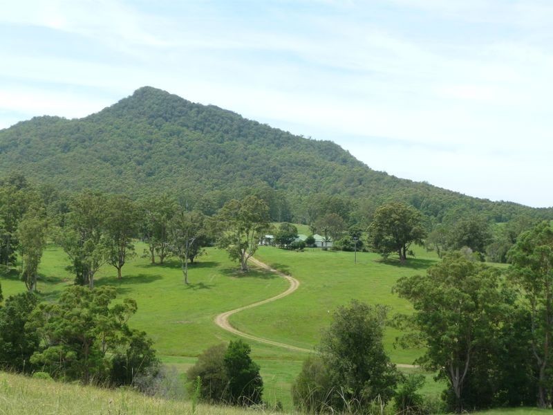 Killabakh NSW 2429