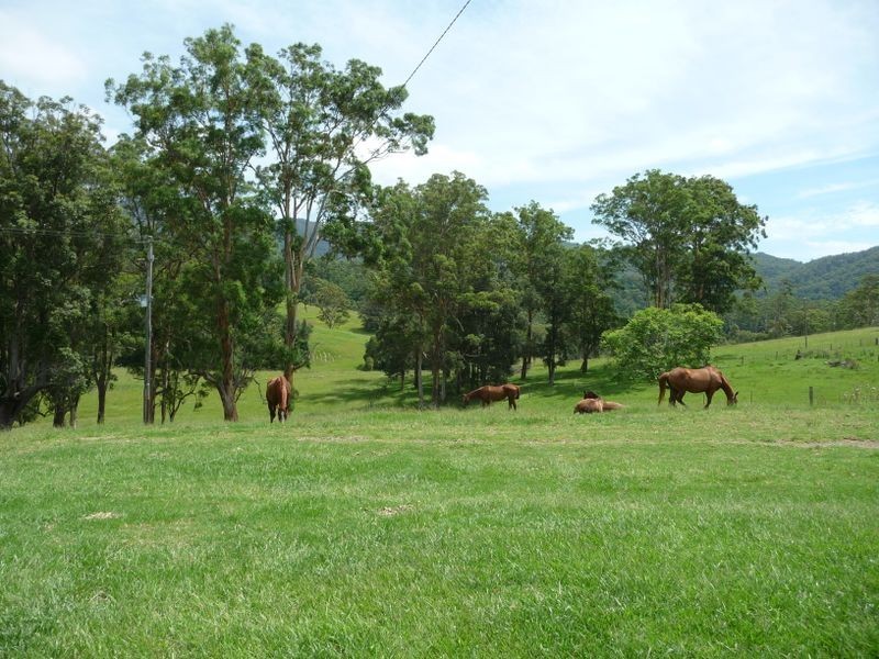 Killabakh NSW 2429