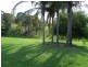 6 Phillip Close, Wingham NSW 2429