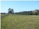 195 Gloucester Road, Burrell Creek NSW 2429