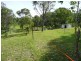 5 Abbott Falls Road, Wingham NSW 2429