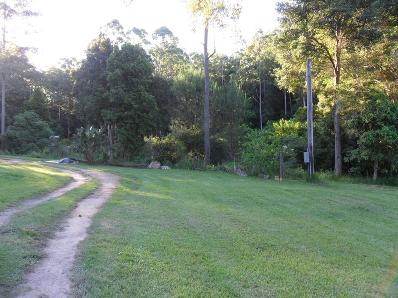 Firefly NSW 2429